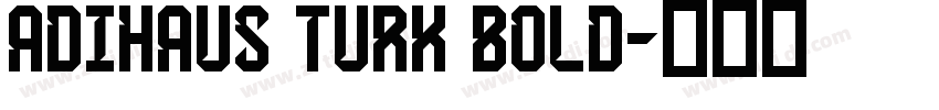 AdiHaus Turk Bold字体转换